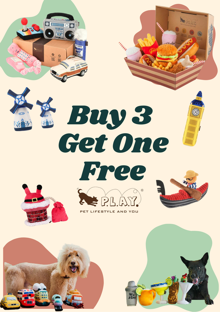 Sydney Showroom Grand Opening – Exclusive Deals