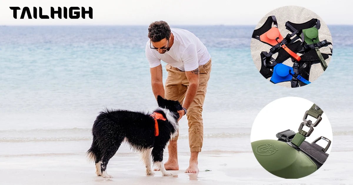 TAILHIGH Award Winning 2-in-1 Leash & Harness – Shortie Friends