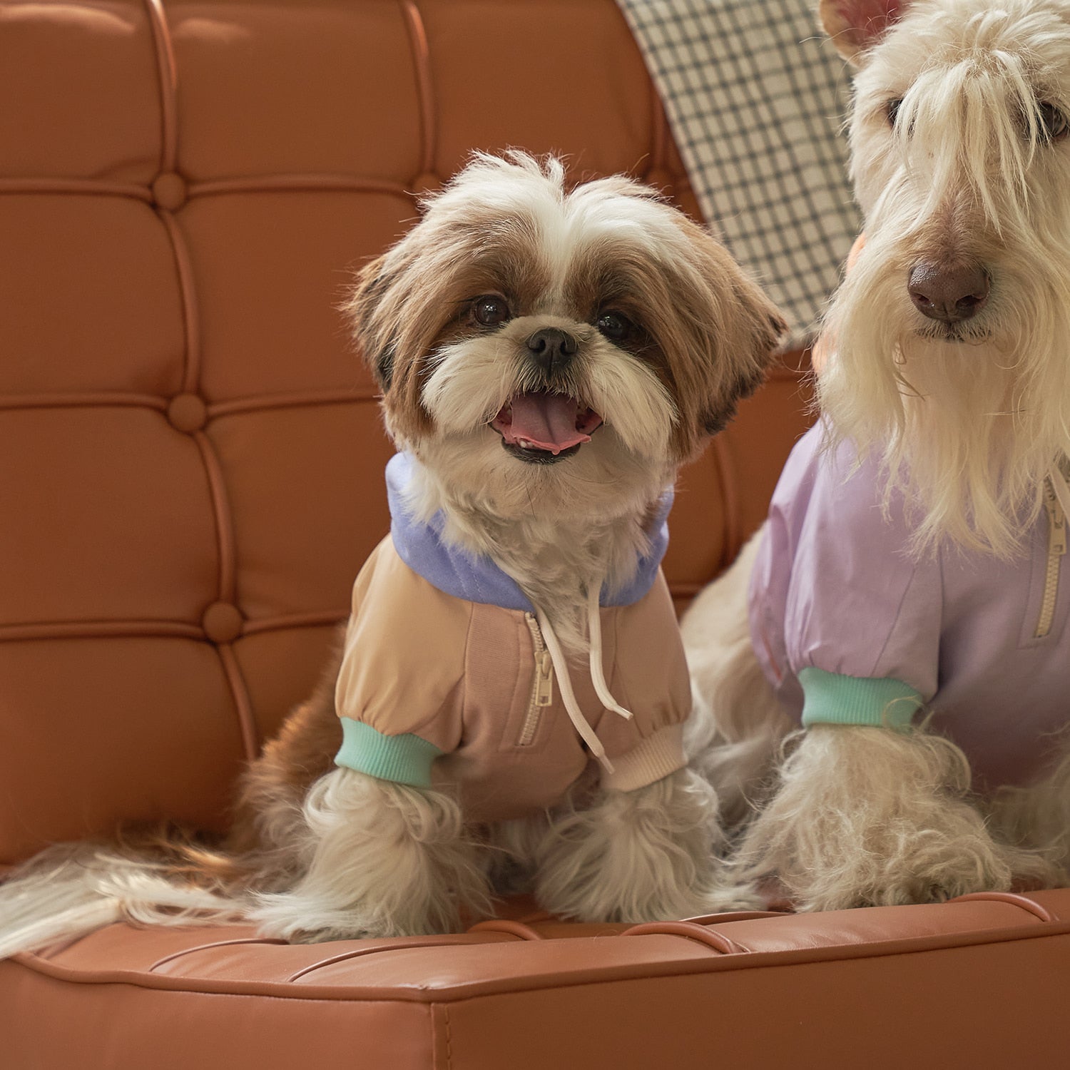 munikund AURORA Reflecte Hoodie Peach Beige – Shortie Friends