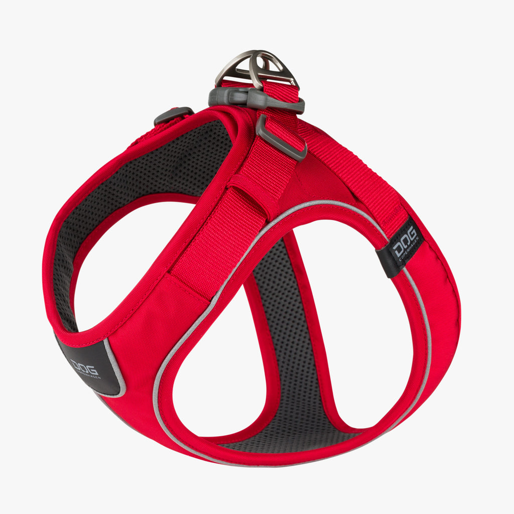 DOG Copenhagen Comfort Walk Go™ Harness | Shortie Friends