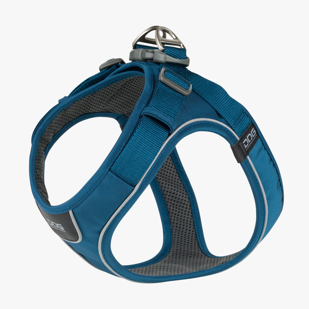 DOG Copenhagen Comfort Walk Go™ Harness | Shortie Friends
