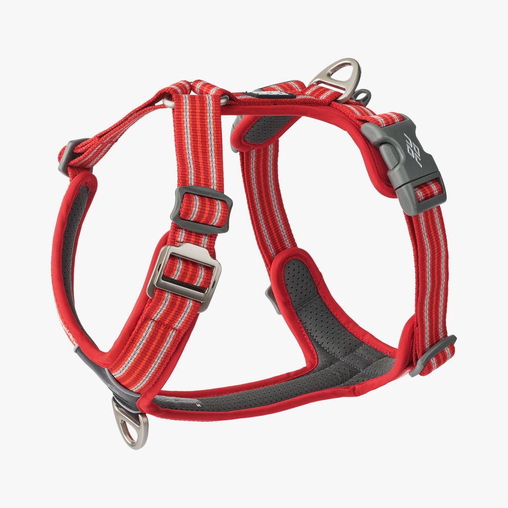 DOG Copenhagen Comfort Walk Air™ Harness | Shortie Friends