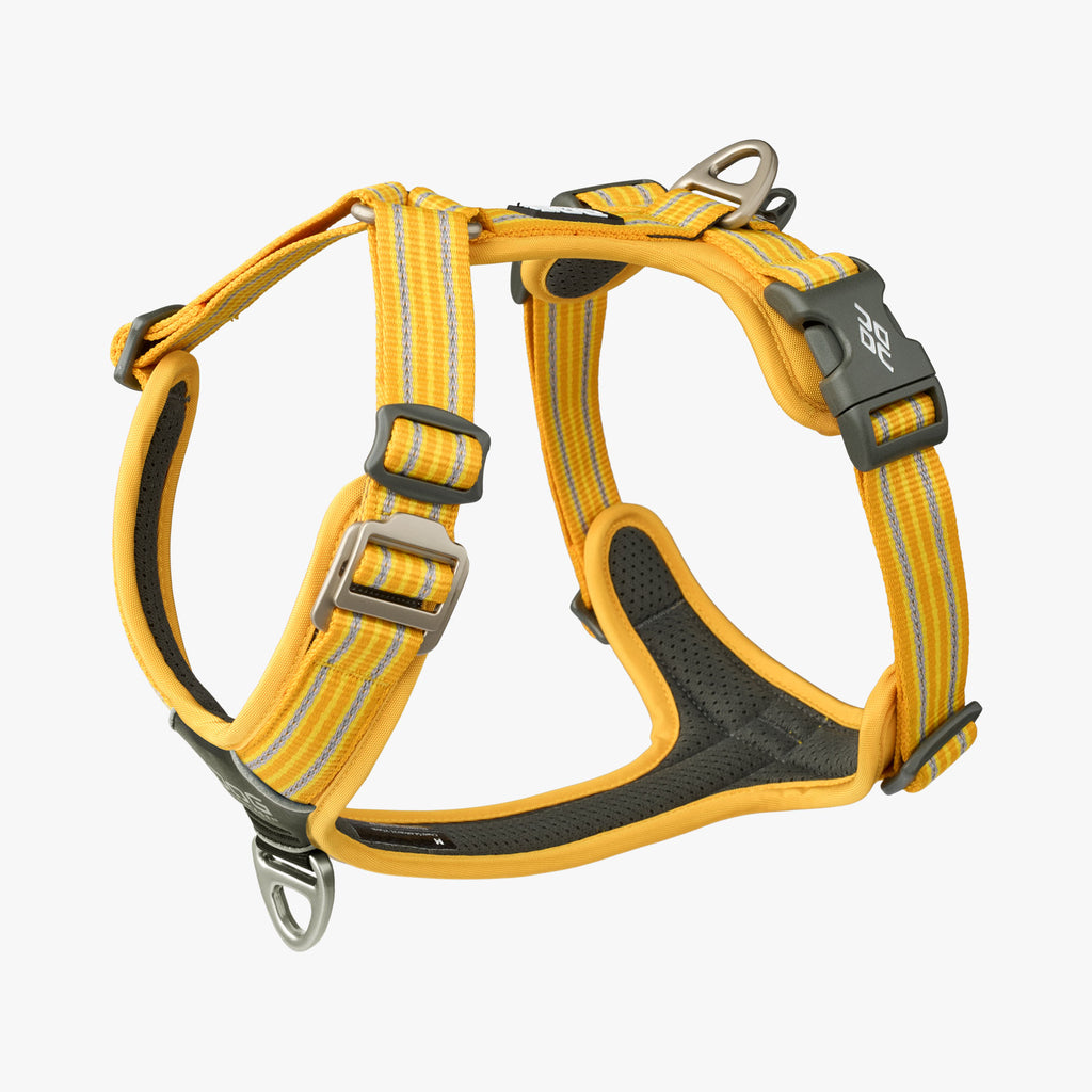 DOG Copenhagen Comfort Walk Air™ Harness | Shortie Friends