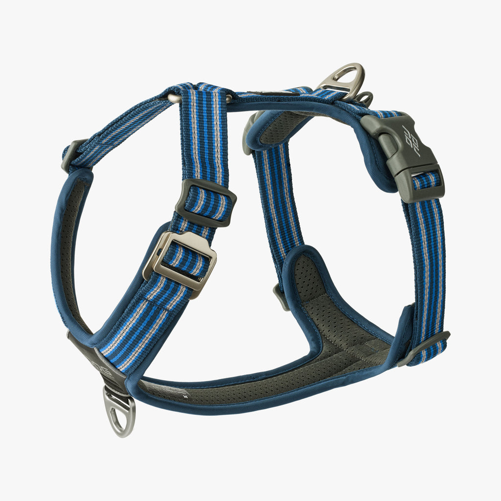 DOG Copenhagen Comfort Walk Air™ Harness | Shortie Friends