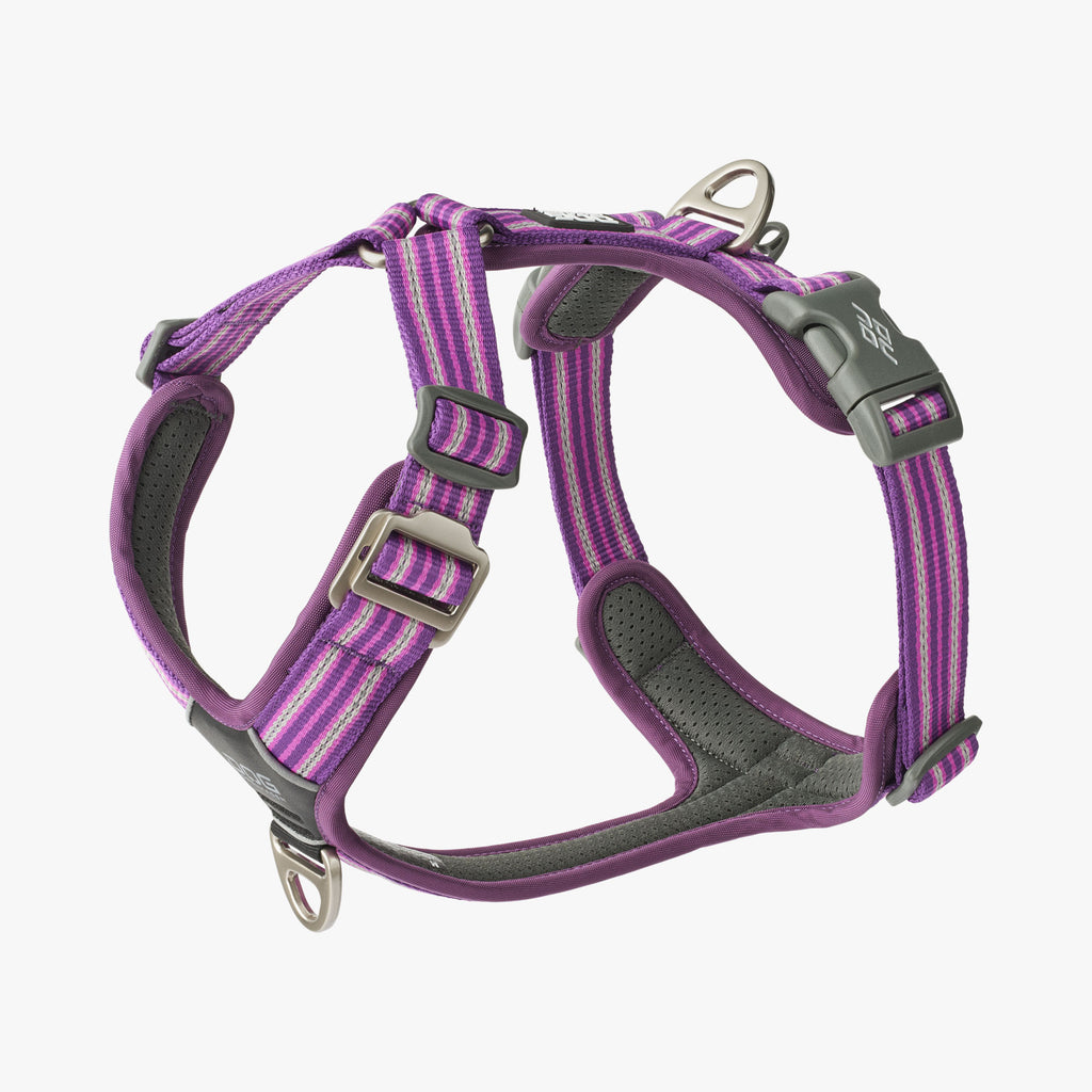 DOG Copenhagen Comfort Walk Air™ Harness | Shortie Friends