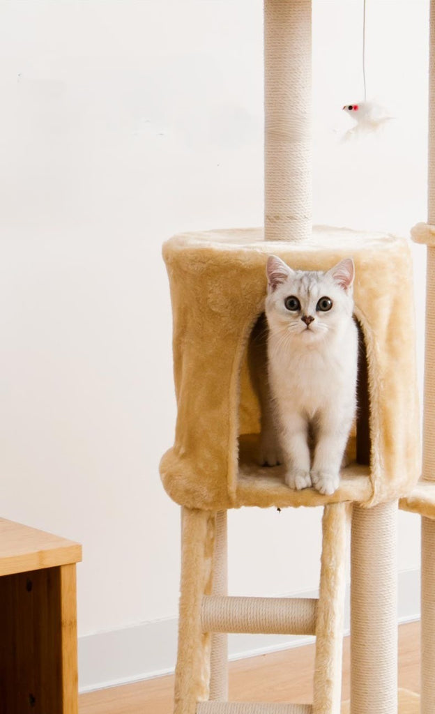 Deluxe 5-Tier Cat Tree | Shortie Friends