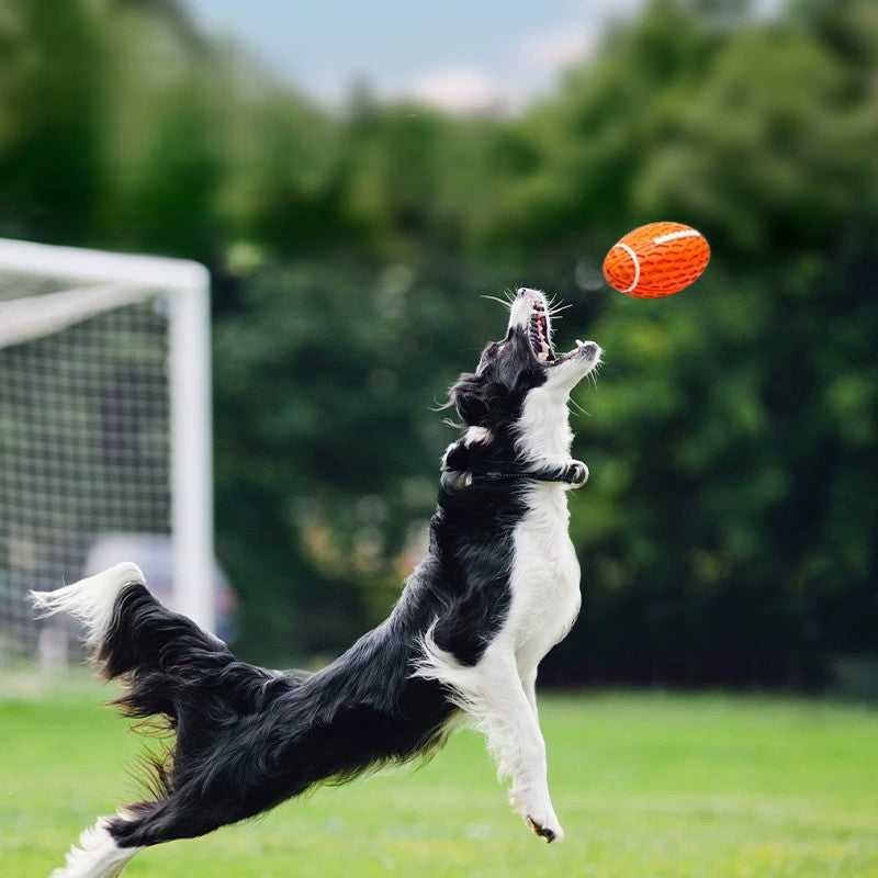 Natural Rubber Football Dog Toy | Shortie Friends