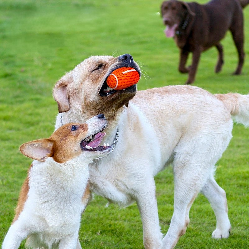 Natural Rubber Football Dog Toy | Shortie Friends