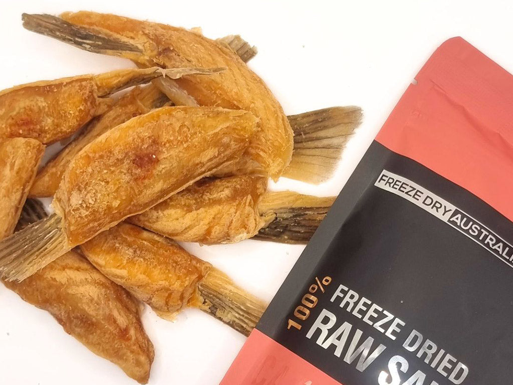 Freeze Dry Australia Freeze Dried Salmon Bellies | Shortie Friends
