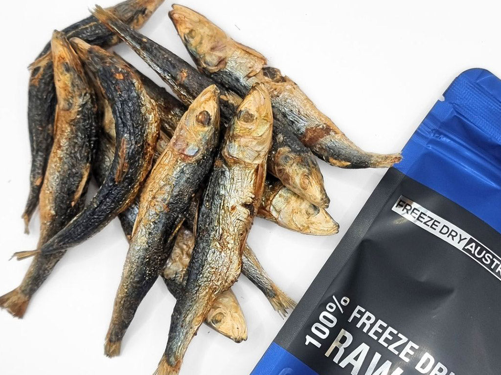 Freeze Dry Australia Freeze Dried Whole Sardines | Shortie Friends