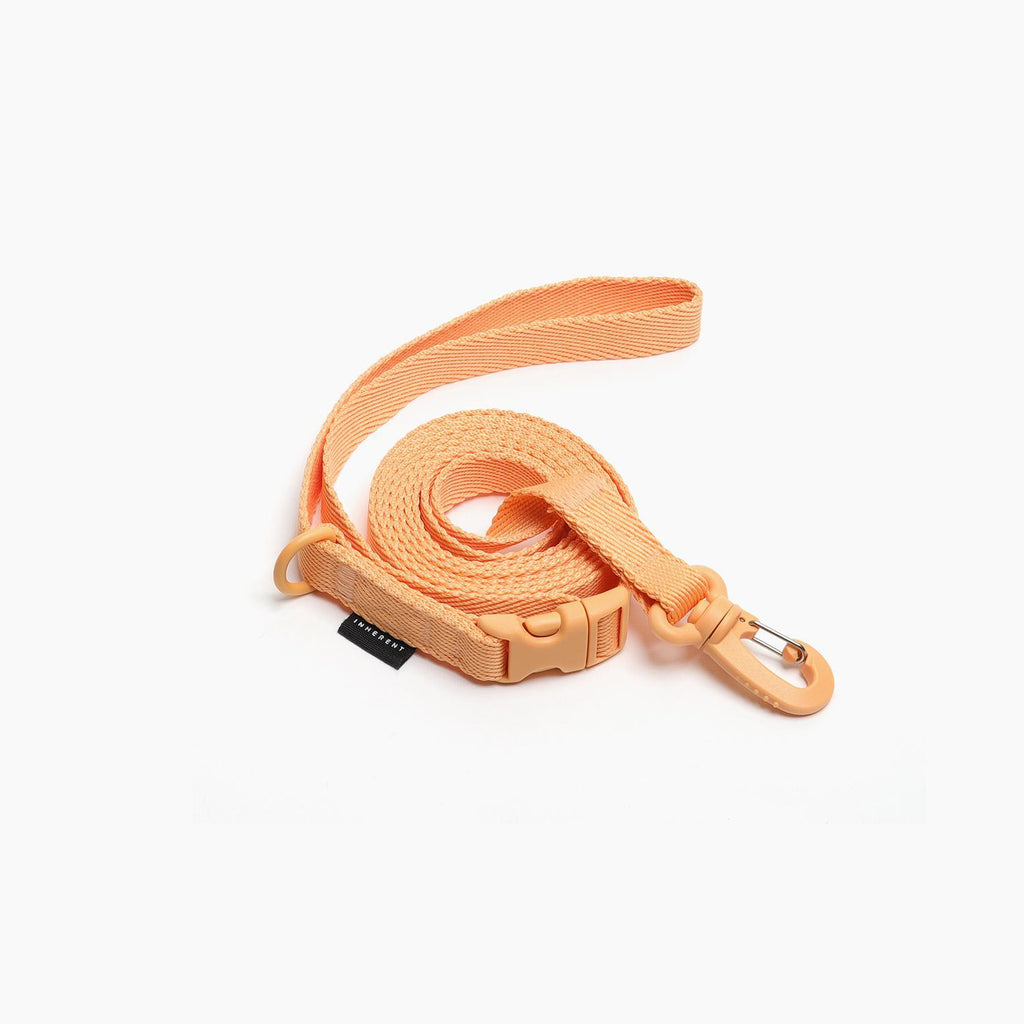 Inherent Macaron Hands Free Dog Leash - Beige | Lemon | Green | Lavender | Pink | Coral | Blue - Shortie Friends