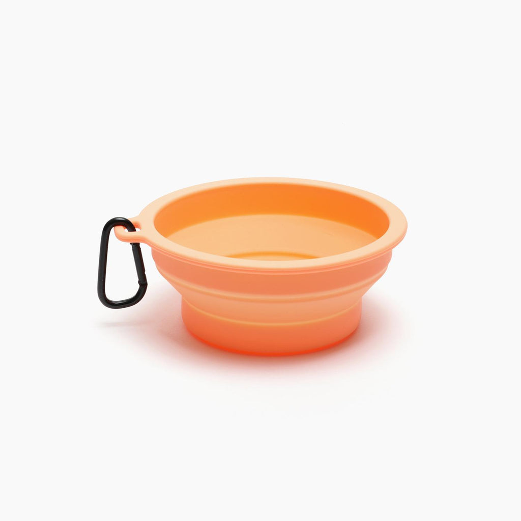 Inherent Macaron Collapsible Water Cup - Beige | Lemon | Green | Lavender | Pink | Coral | Blue - Shortie Friends