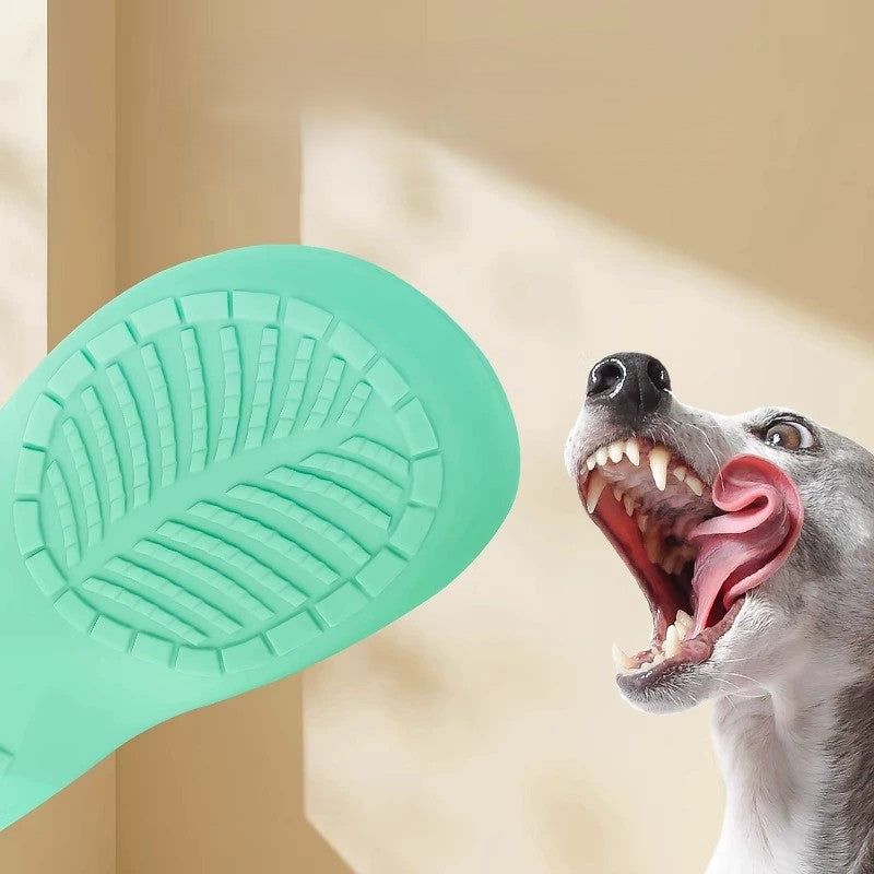 Latex Squeaky Slipper Toy | Shortie Friends