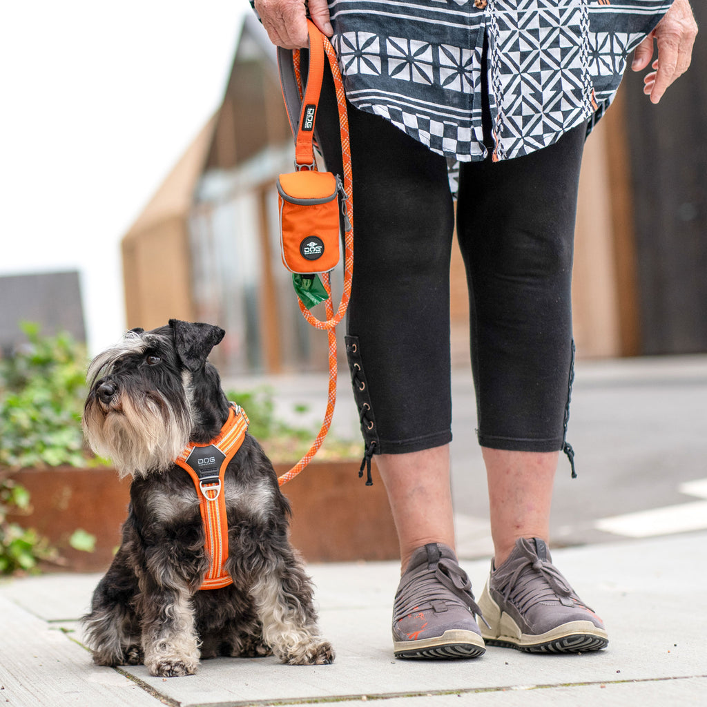 DOG Copenhagen Comfort Walk Air™ Harness | Shortie Friends