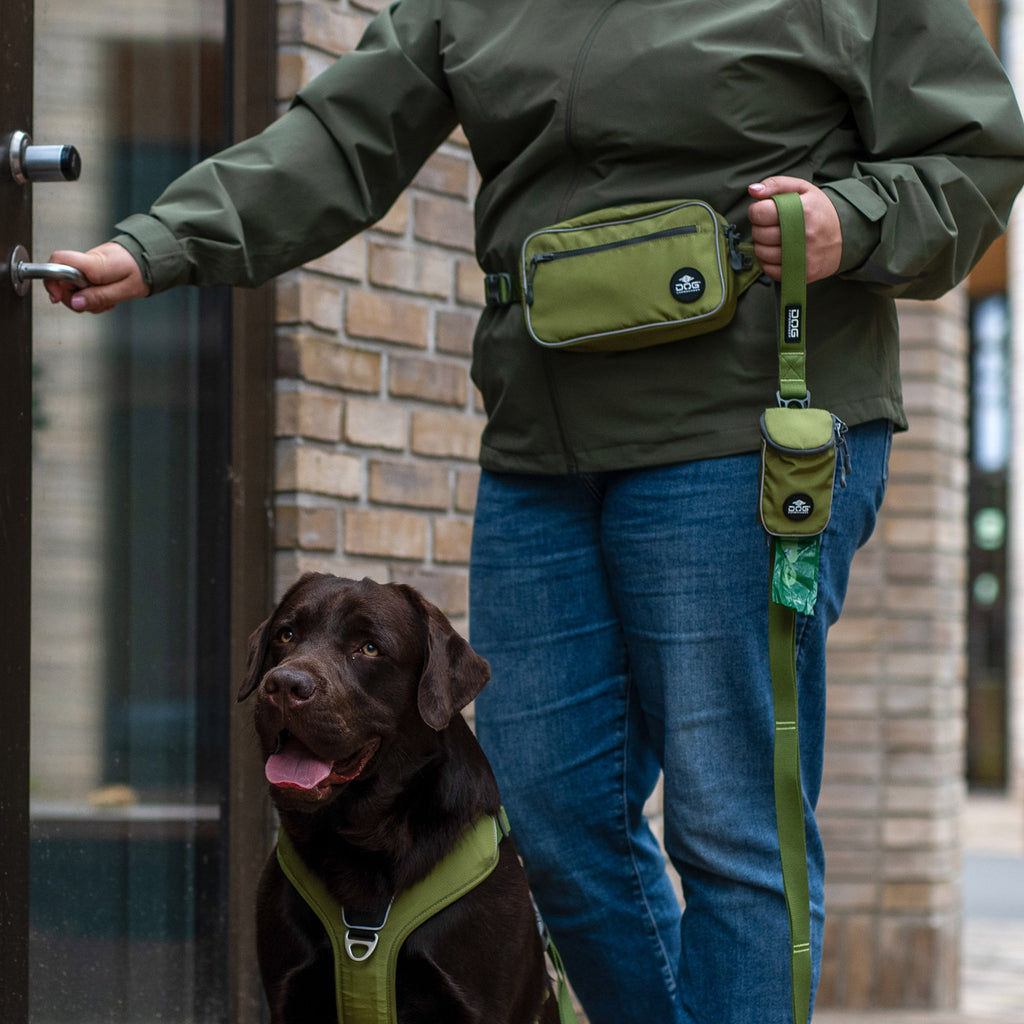 DOG Copenhagen Go Explore™ Belt Bag | Shortie Friends