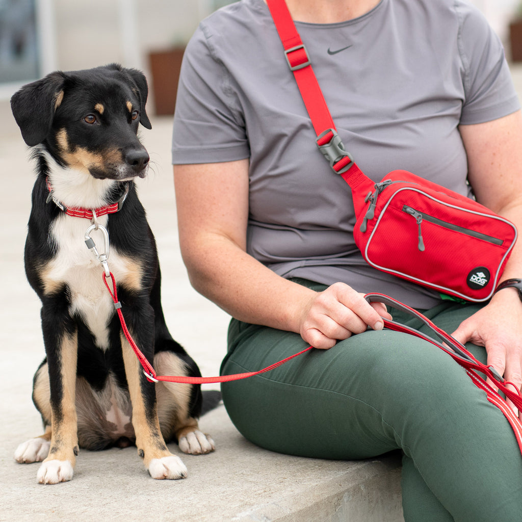 DOG Copenhagen Go Explore™ Belt Bag | Shortie Friends