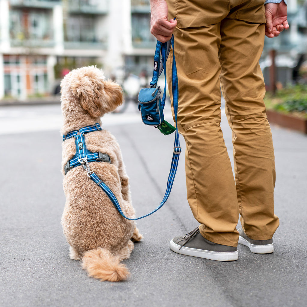 DOG Copenhagen Urban Freestyle™ Leash | Shortie Friends