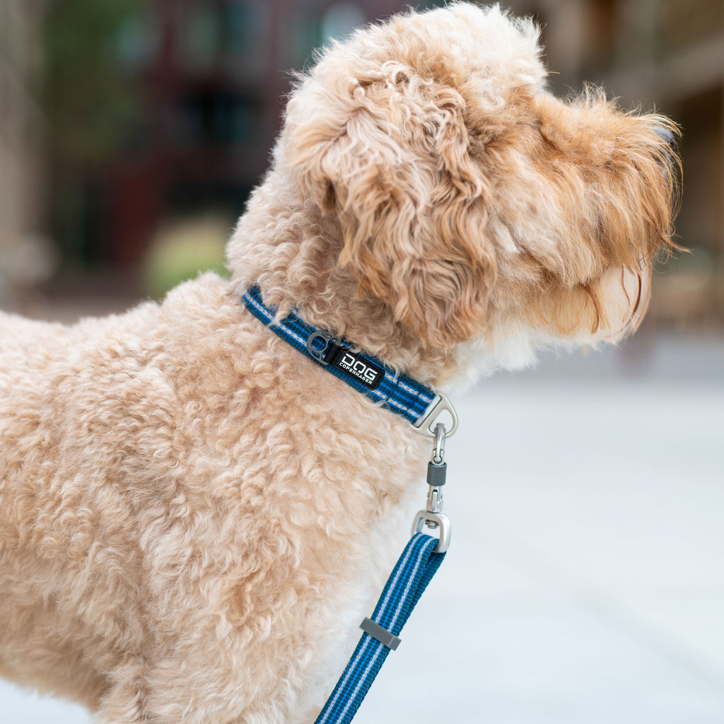 DOG Copenhagen Urban Style™ Collar | Shortie Friends