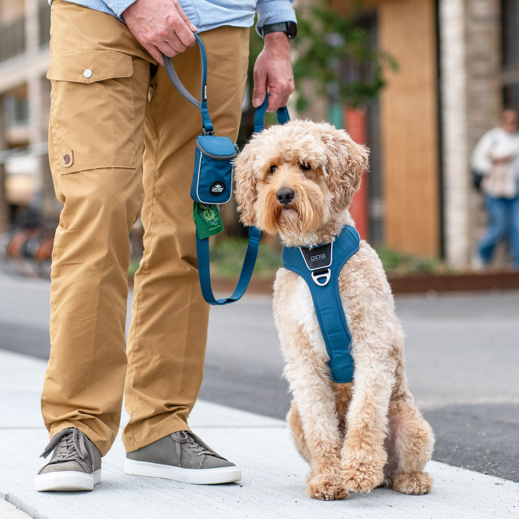 DOG Copenhagen Urban Trail™ Leash | Shortie Friends