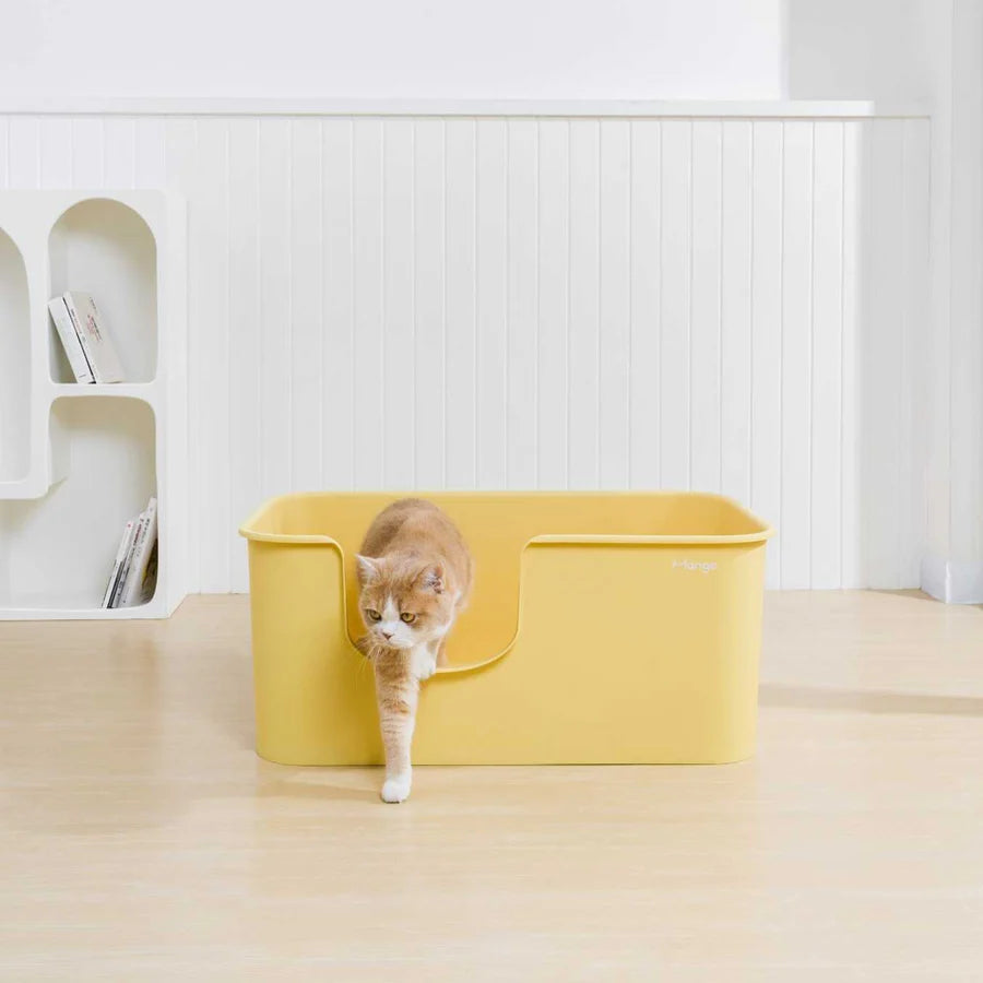 Mango Butter Litter Box Extra Large | Shortie Friends