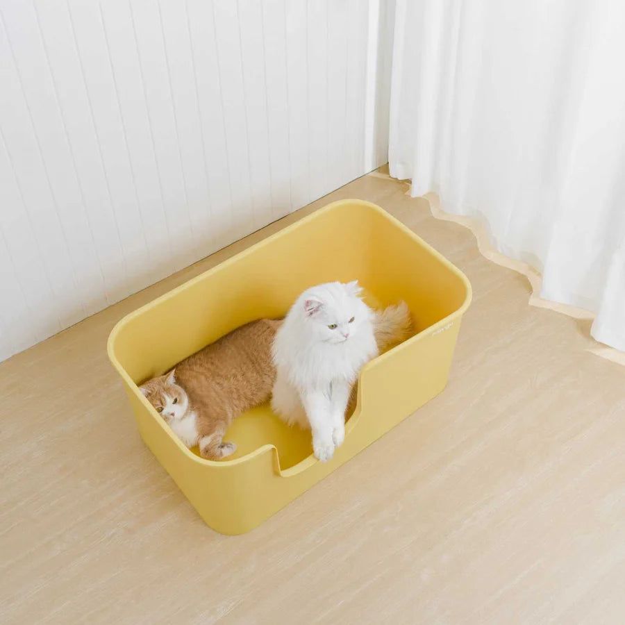 Mango Butter Litter Box Extra Large | Shortie Friends