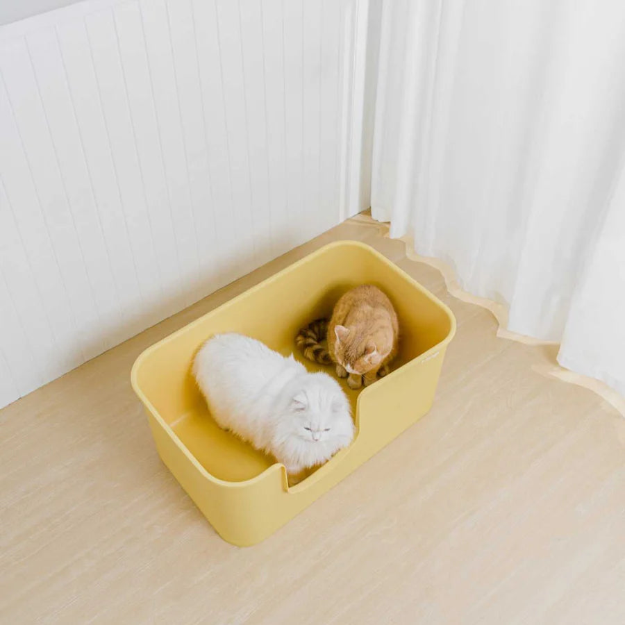 Mango Butter Litter Box Extra Large | Shortie Friends