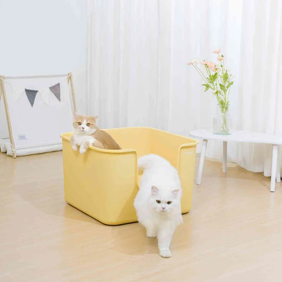 Mango Cube Litter Box Extra Large 62 x 62cm | Shortie Friends