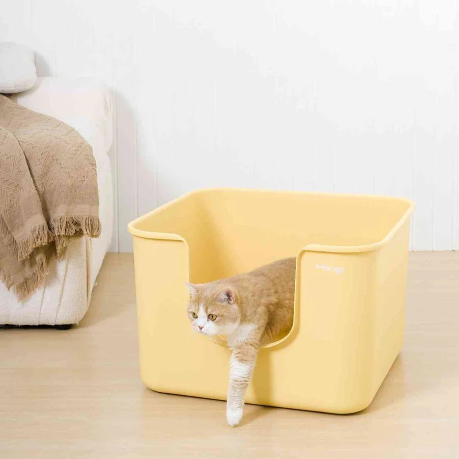 Mango Cube Litter Box Extra Large 62 x 62cm | Shortie Friends