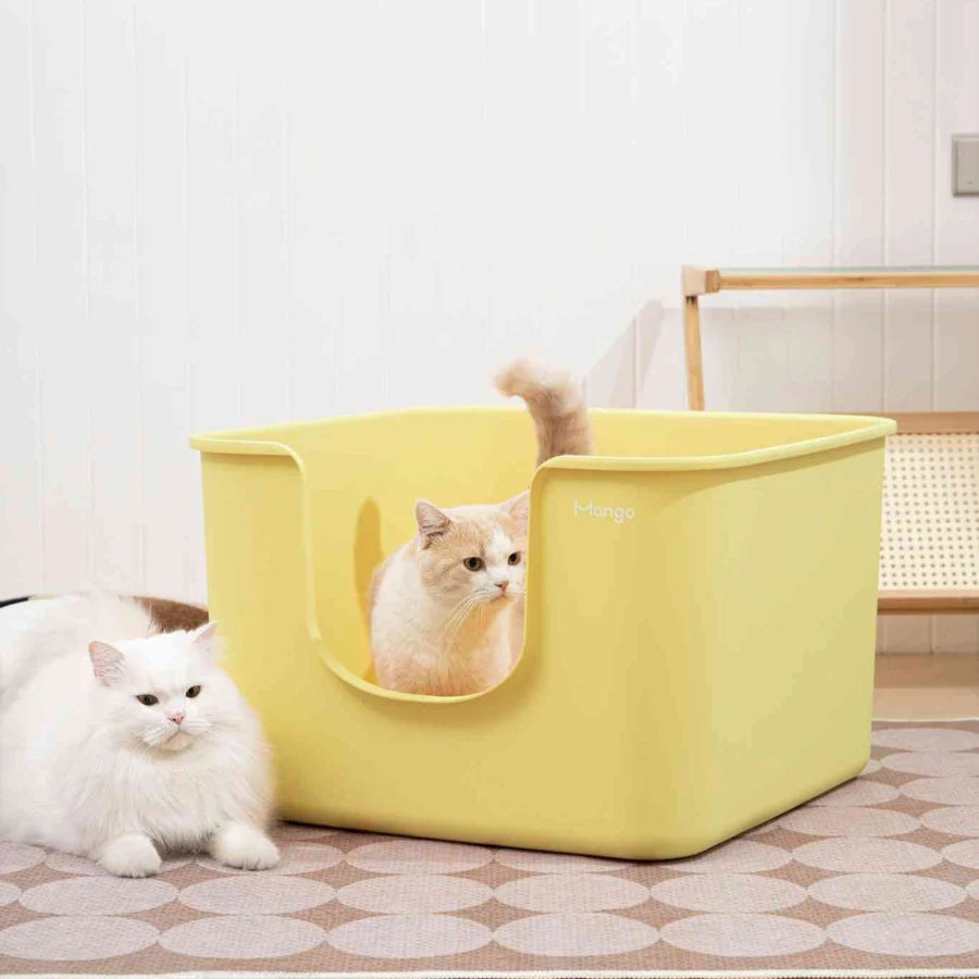 Mango Cube Litter Box Extra Large 62 x 62cm | Shortie Friends