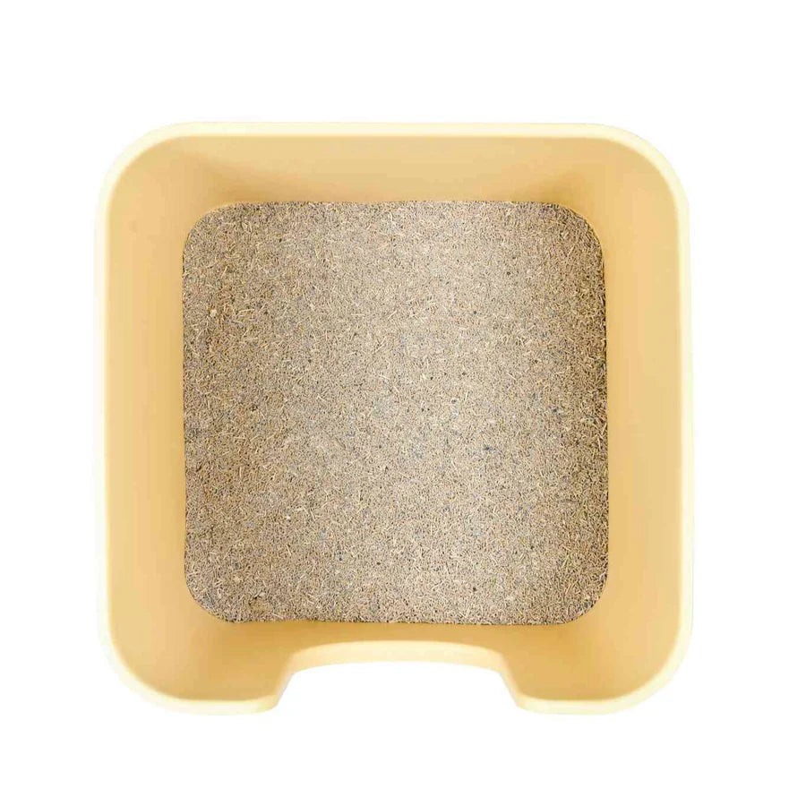 Mango Cube Litter Box Extra Large 62 x 62cm | Shortie Friends