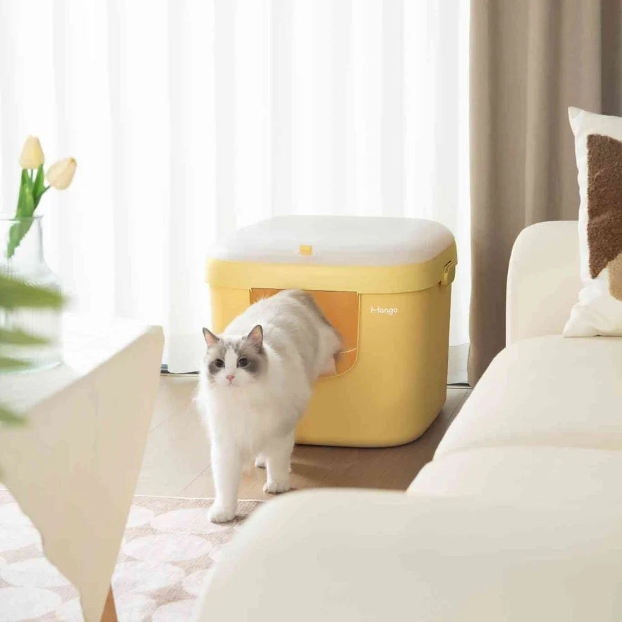 Mango Cube Litter Box Large 55 x 50cm | Shortie Friends