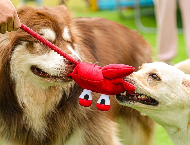 QMonster Red Crab Squeaking Tug Toy | Shortie Friends