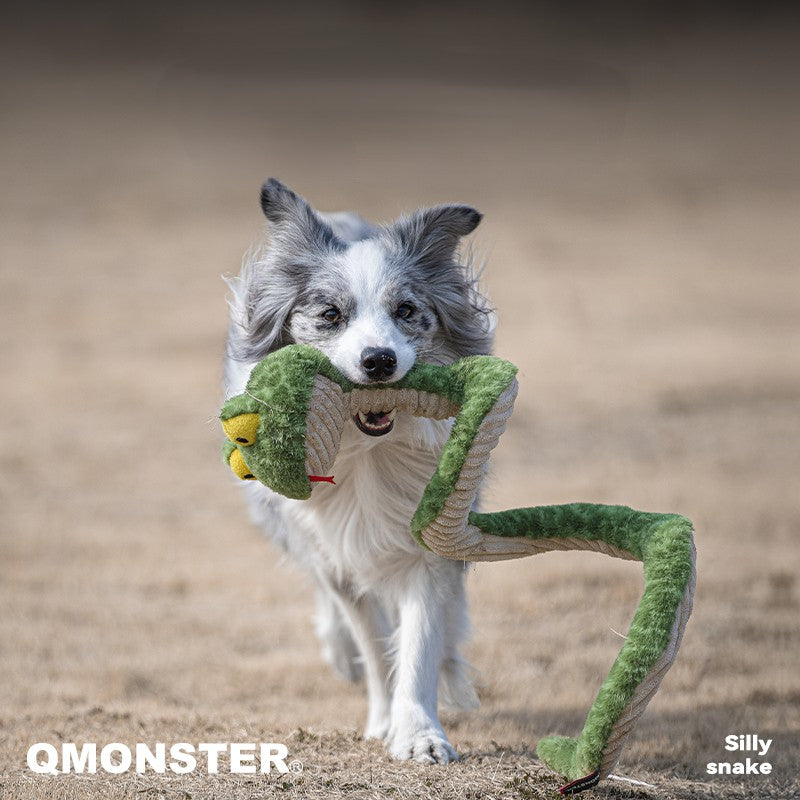QMonster Silly Snake Super Long Squeaking Toy | Shortie Friends