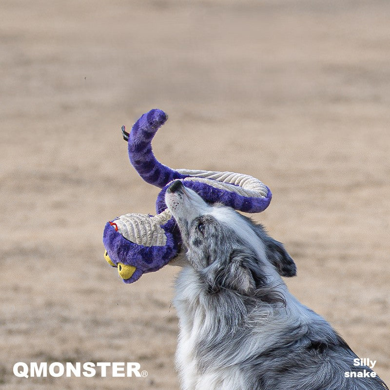 QMonster Silly Snake Super Long Squeaking Toy | Shortie Friends