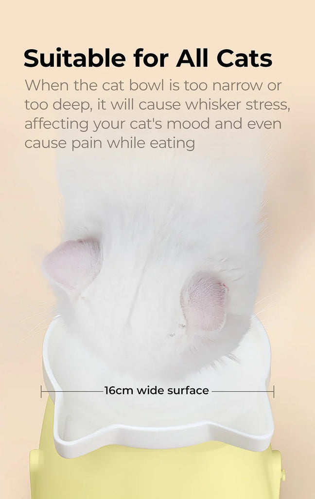 Mango Raised Ceramic Bowl | Neck-Protection Tilted Design - Shortie Friends