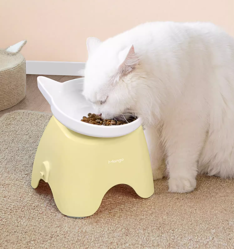 Mango Raised Ceramic Bowl | Neck-Protection Tilted Design - Shortie Friends