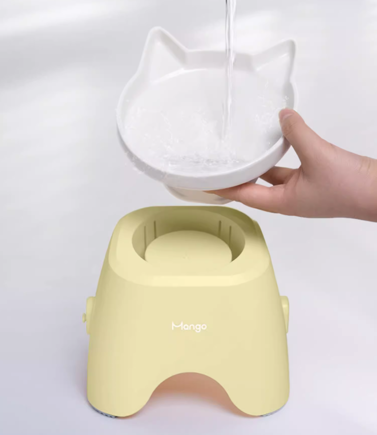 Mango Raised Ceramic Bowl | Neck-Protection Tilted Design - Shortie Friends