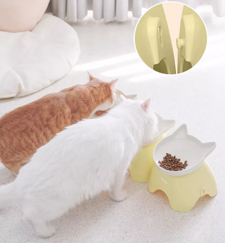 Mango Raised Ceramic Bowl | Neck-Protection Tilted Design - Shortie Friends