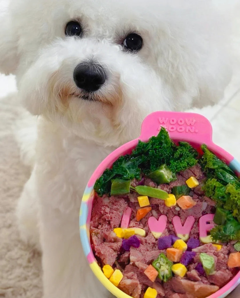 WOOW moon LOVE Silicone Slow Feeder | Shortie Friends