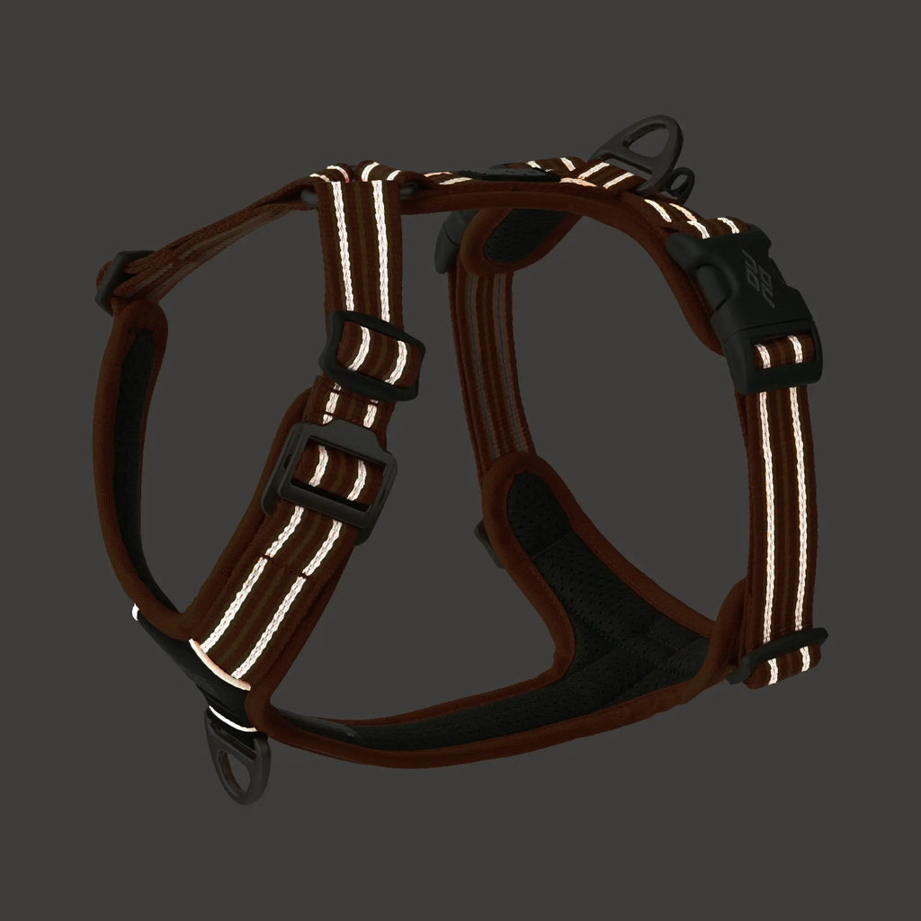 DOG Copenhagen Comfort Walk Air™ Harness | Shortie Friends