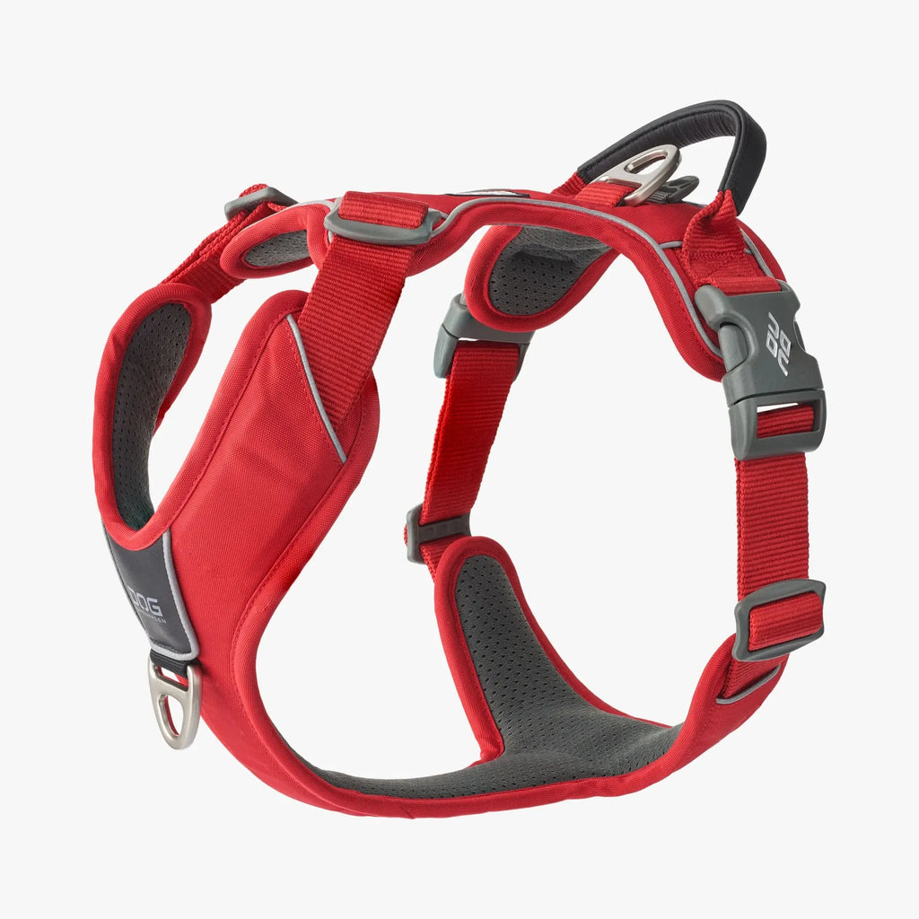 DOG Copenhagen Comfort Walk Pro™ Harness | Shortie Friends