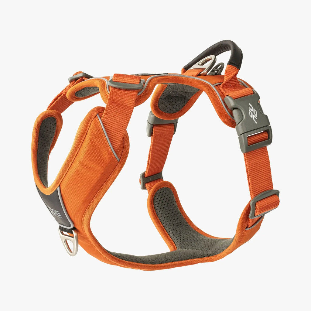 DOG Copenhagen Comfort Walk Pro™ Harness | Shortie Friends