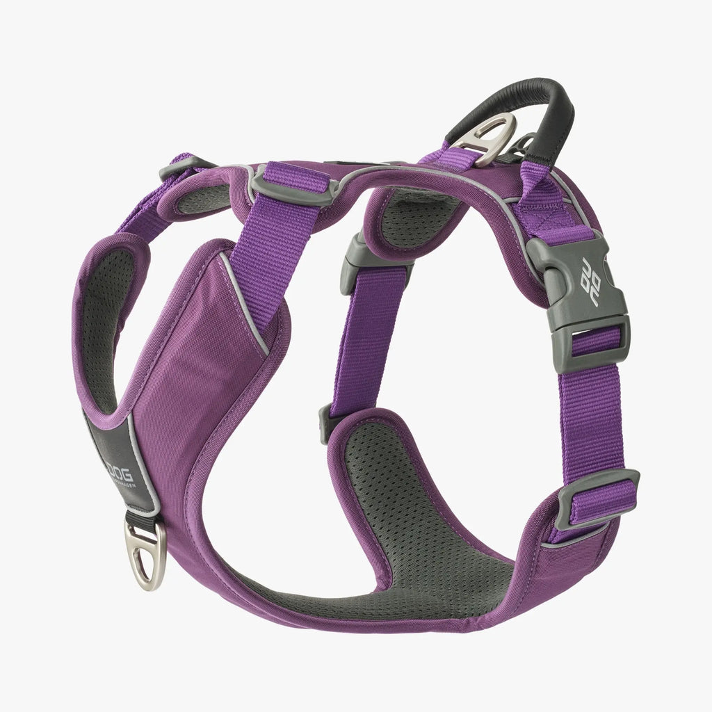 DOG Copenhagen Comfort Walk Pro™ Harness | Shortie Friends