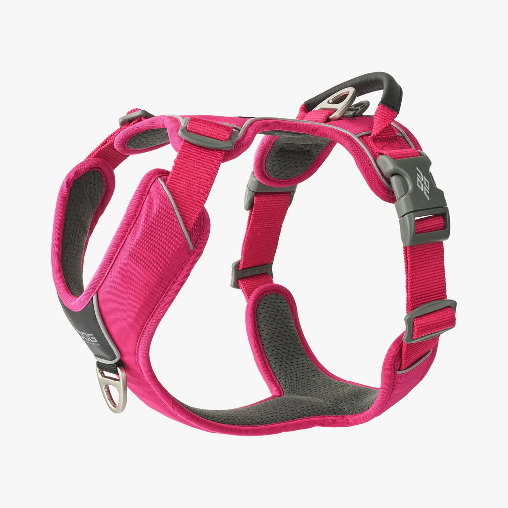 DOG Copenhagen Comfort Walk Pro™ Harness | Shortie Friends