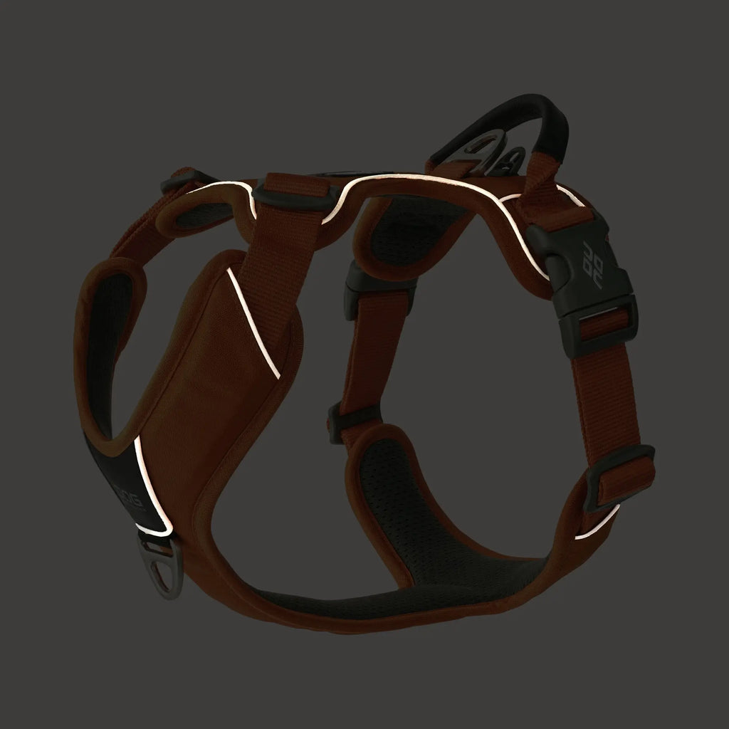 DOG Copenhagen Comfort Walk Pro™ Harness | Shortie Friends