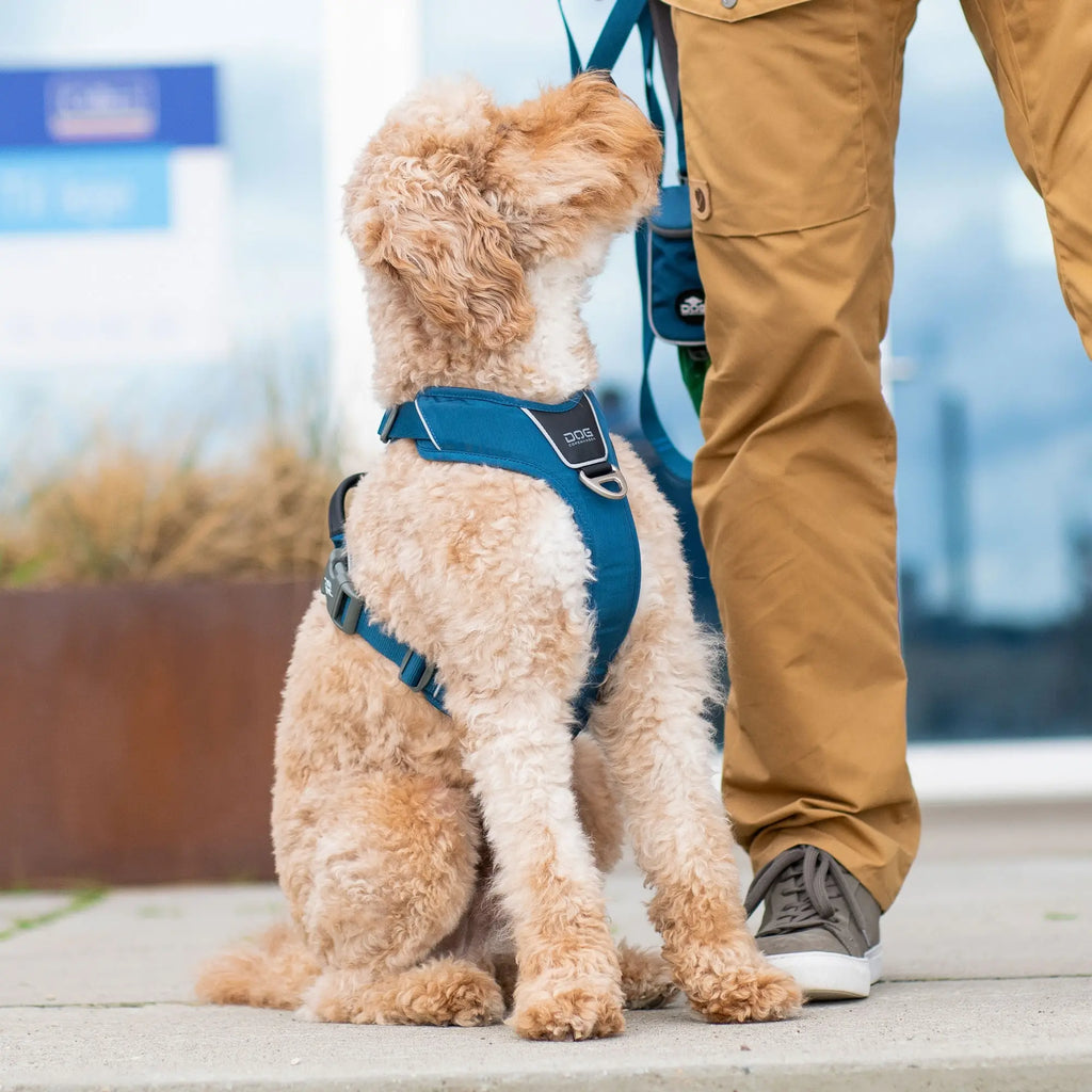 DOG Copenhagen Comfort Walk Pro™ Harness | Shortie Friends