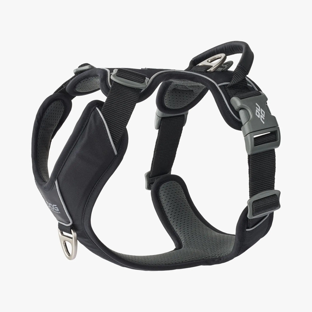 DOG Copenhagen Comfort Walk Pro™ Harness | Shortie Friends