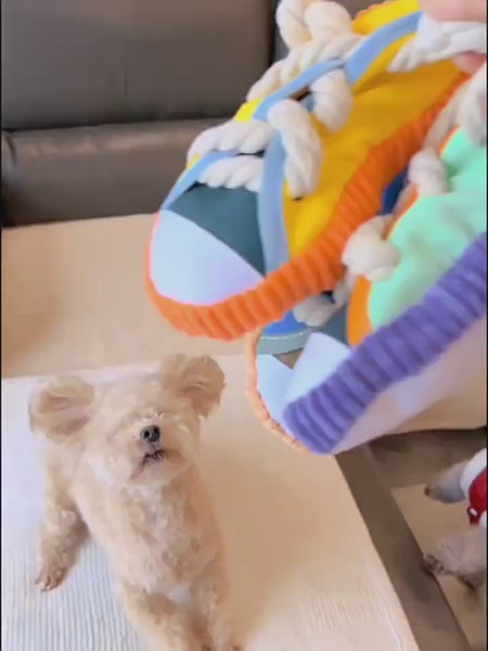 Squeaky Cotton Rope Shoe Toy | Shortie Friends