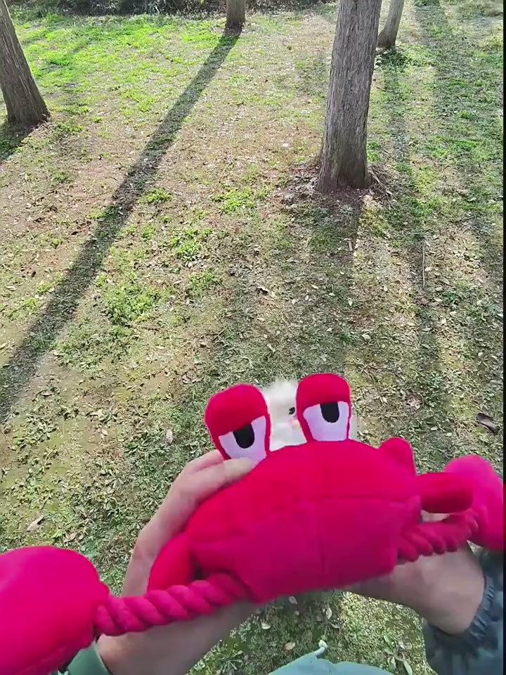 QMonster Red Crab Squeaking Tug Toy | Shortie Friends