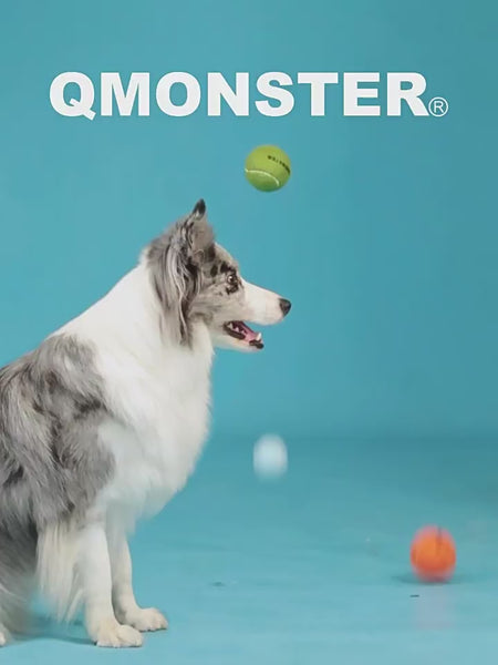 QMonster Tennis Ball 4 Pack Small | Large | Shortie Friends